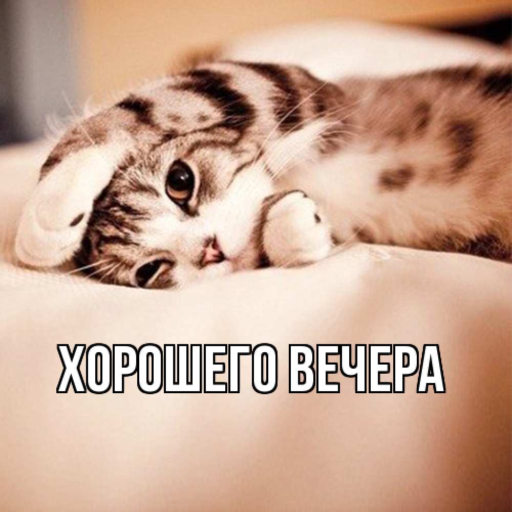 Картинка Хорошего вечера, 