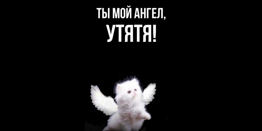 Открытка  для любимых и родных. утятя, Ты мой ангел  
