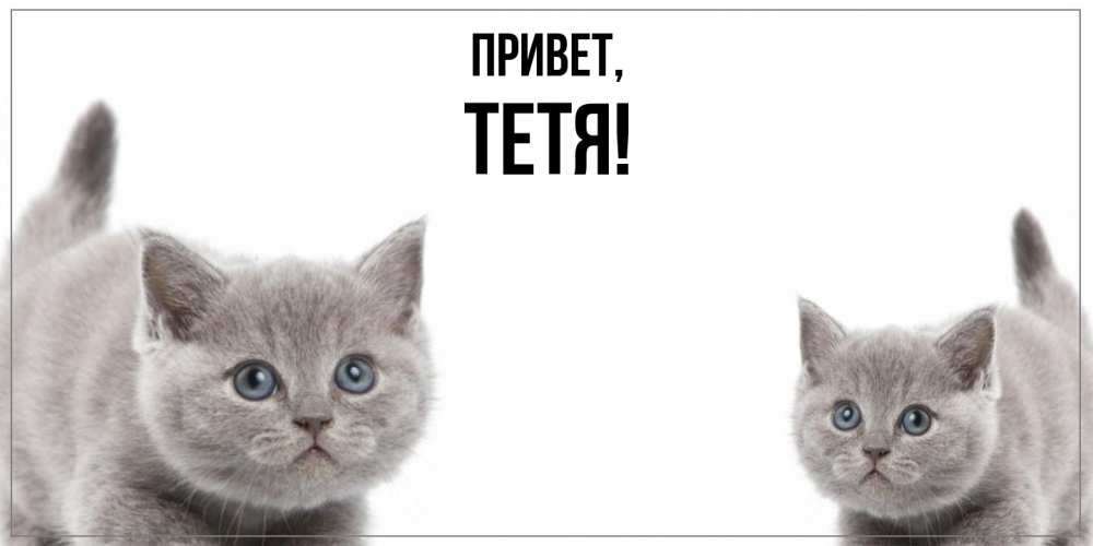 Открытка  для любимых и родных. Тетя, Привет  