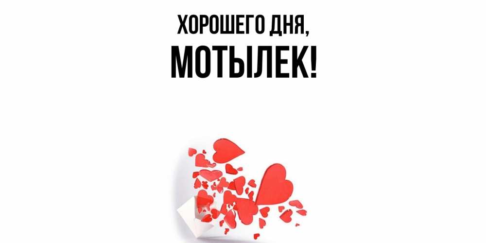 Открытка  для любимых и родных. мотылек, Хорошего дня  