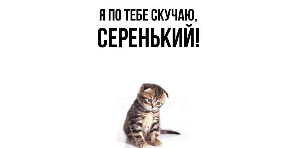 Открытка  для любимых и родных. серенький, Я по тебе скучаю  