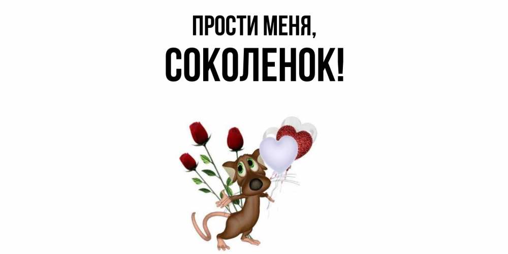 Открытка  для любимых и родных. соколенок, Прости меня  