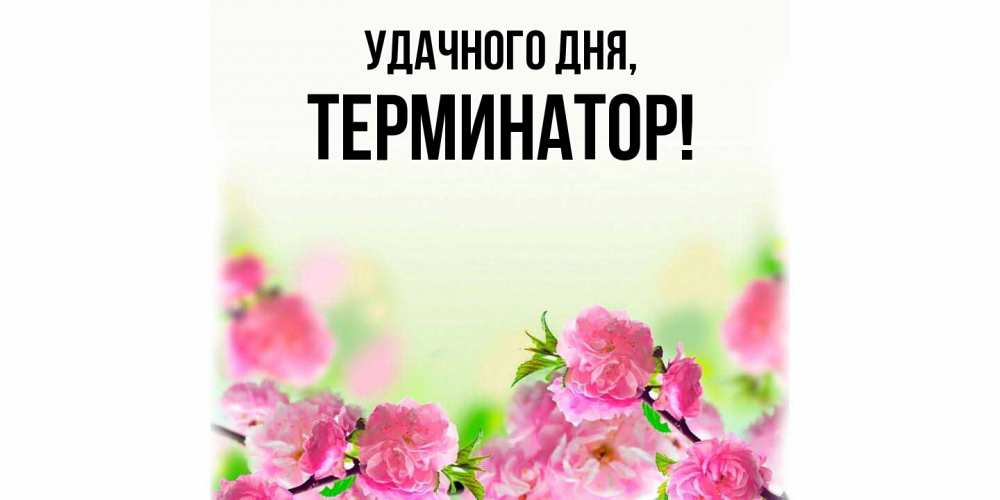 Открытка  для любимых и родных. терминатор, Удачного дня  