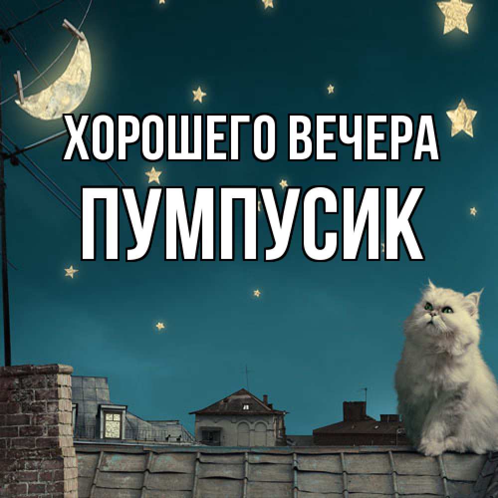 Картинка Хорошего вечера, пумпусик