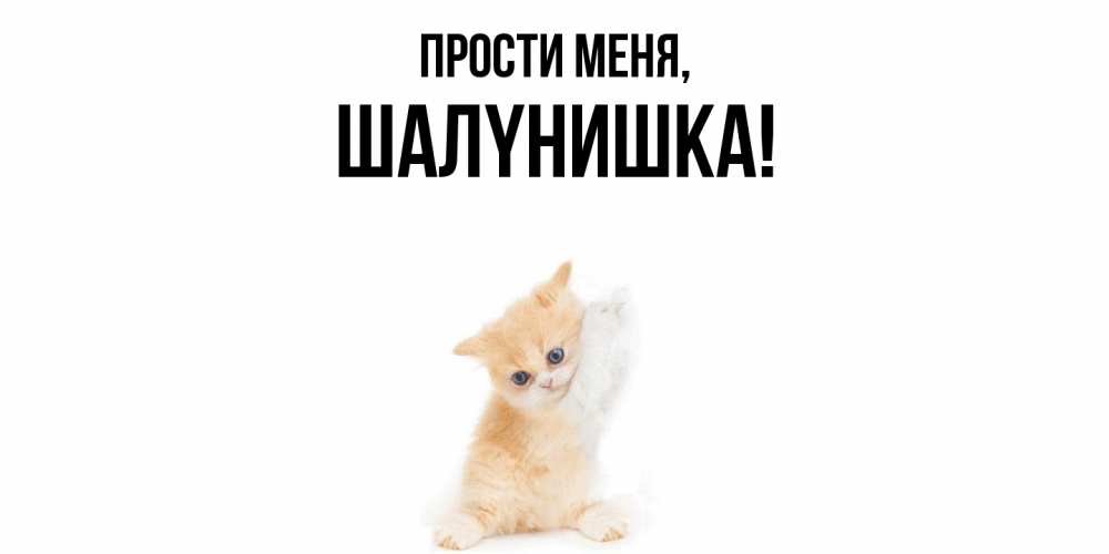 Открытка с именем, шалyнишка, Прости меня