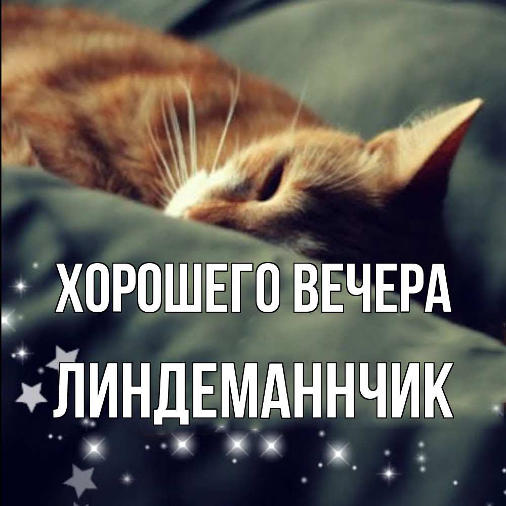 Открытка  для любимых и родных. линдеманнчик, Хорошего вечера  