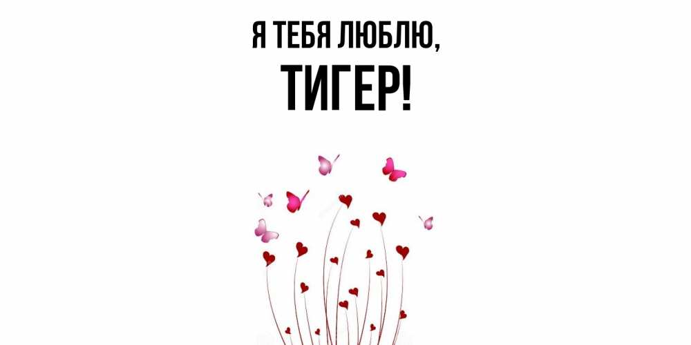 Открытка  для любимых и родных. тигер, Я тебя люблю  
