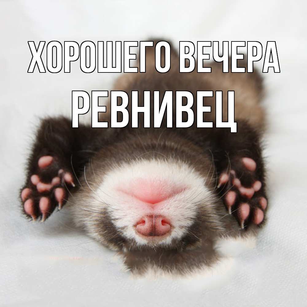 Открытка  для любимых и родных. ревнивец, Хорошего вечера  