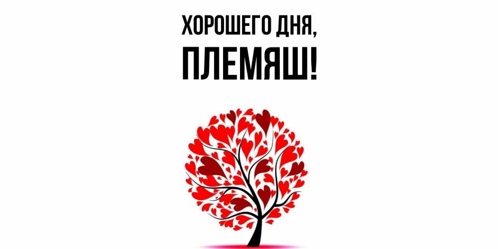 Открытка  для любимых и родных. Племяш, Хорошего дня  