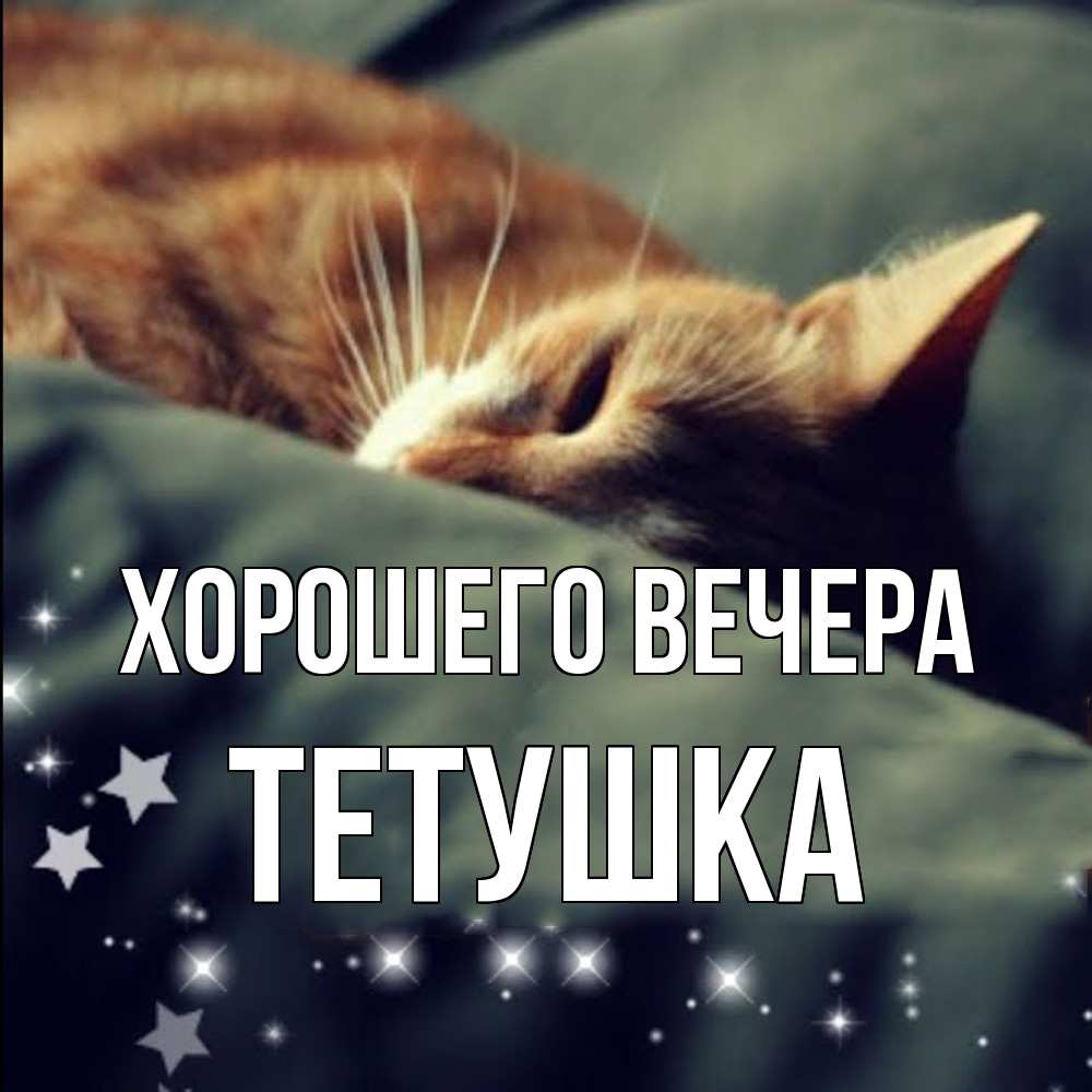 Открытка  для любимых и родных. Тетушка, Хорошего вечера  