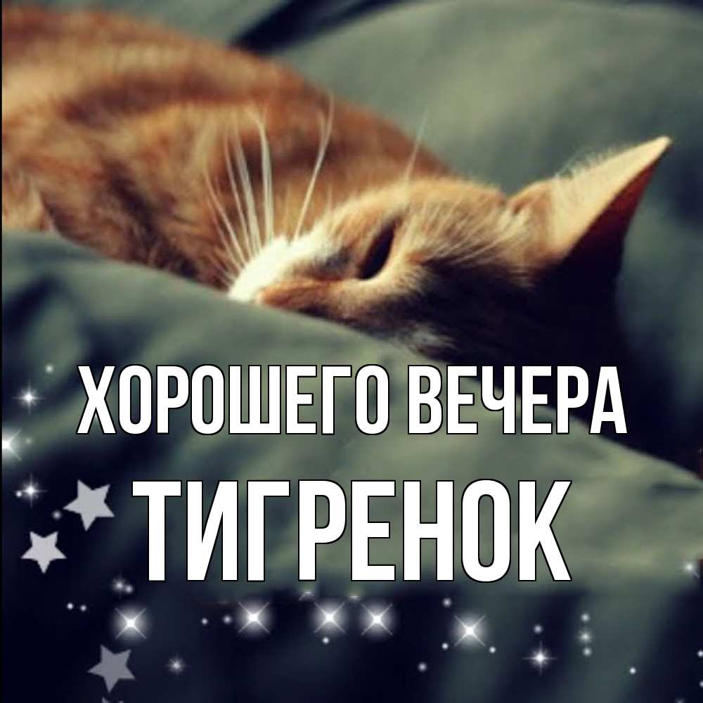 Открытка с именем, Тигренок, Хорошего вечера