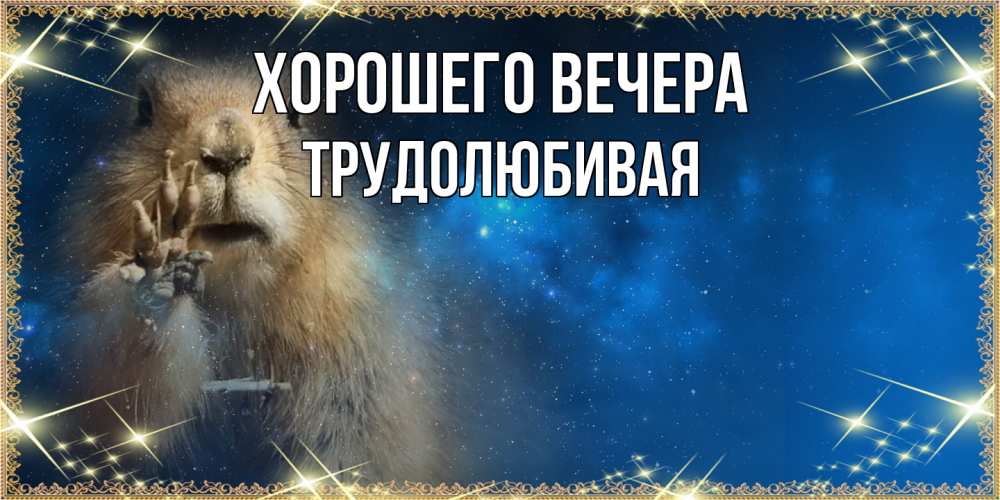Открытка  для любимых и родных. тpудолюбивая, Хорошего вечера  