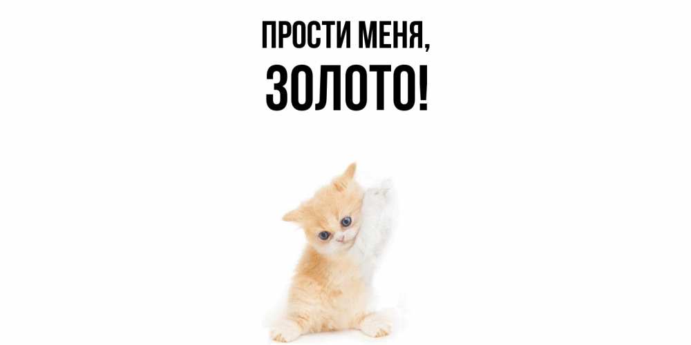 Открытка  для любимых и родных. золото, Прости меня  