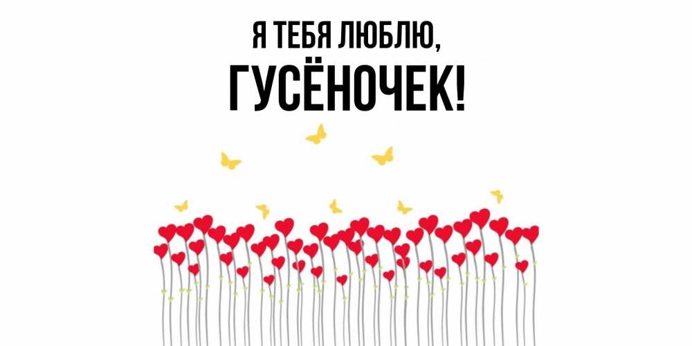 Открытка  для любимых и родных. гусёночек, Я тебя люблю  