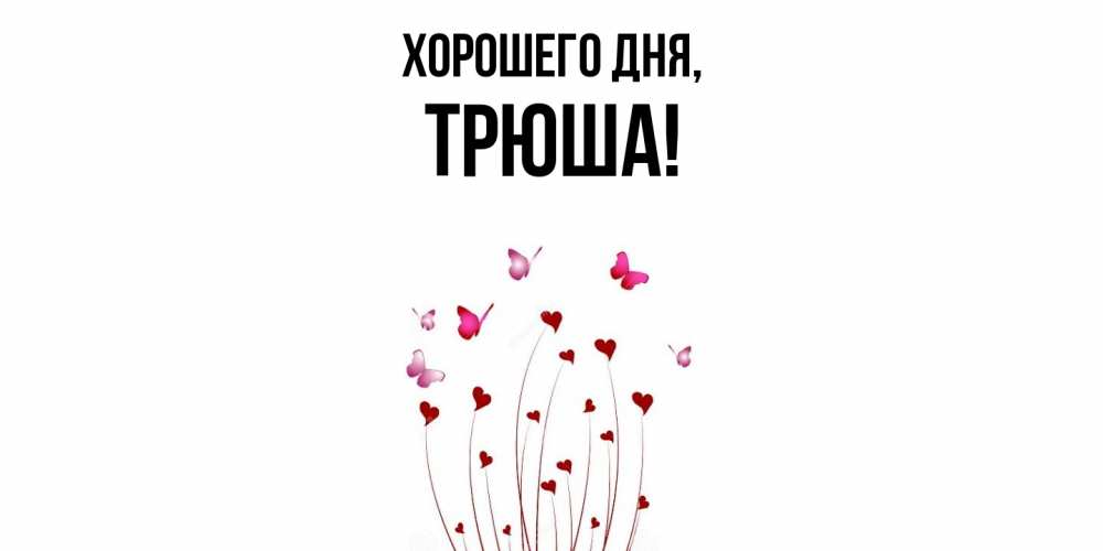 Открытка  для любимых и родных. трюша, Хорошего дня  