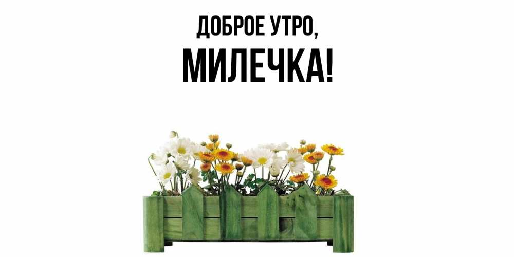 Картинка Доброе утро, милечка