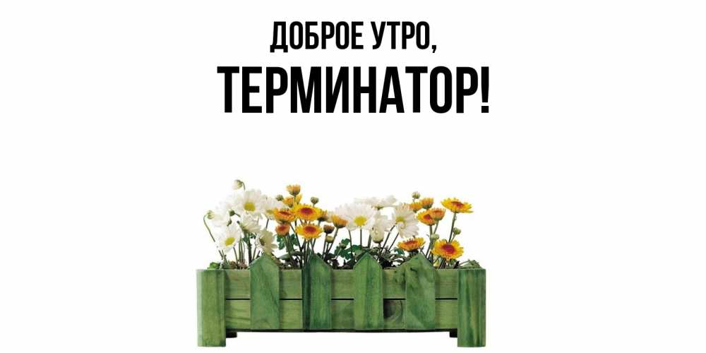 Картинка Доброе утро, терминатор