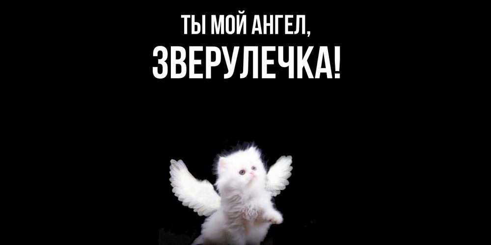 Открытка  для любимых и родных. зверулечка, Ты мой ангел  