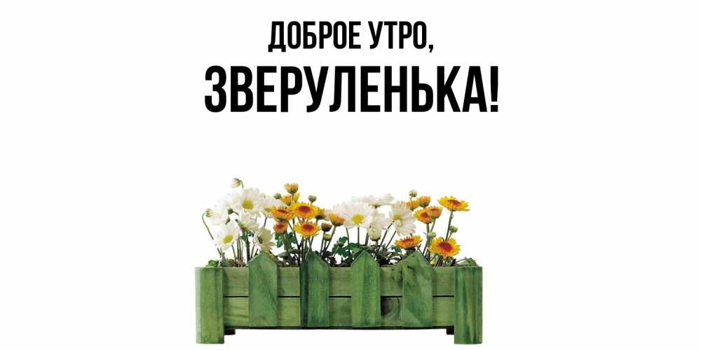 Открытка  для любимых и родных. зверуленька, Доброе утро  