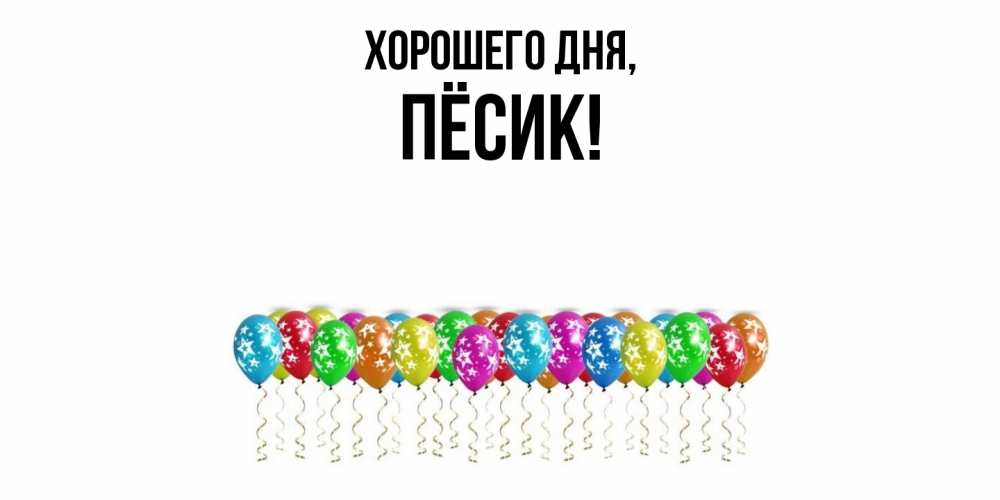 Открытка  для любимых и родных. пёсик, Хорошего дня  