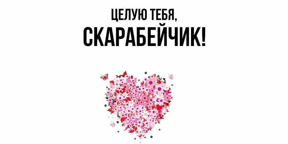 Открытка  для любимых и родных. скарабейчик, Целую тебя  