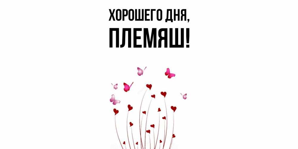 Открытка  для любимых и родных. Племяш, Хорошего дня  