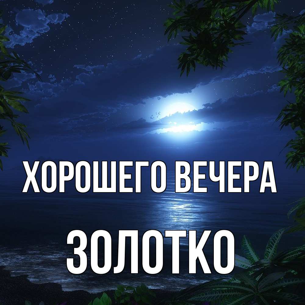 Открытка  для любимых и родных. золотко, Хорошего вечера  