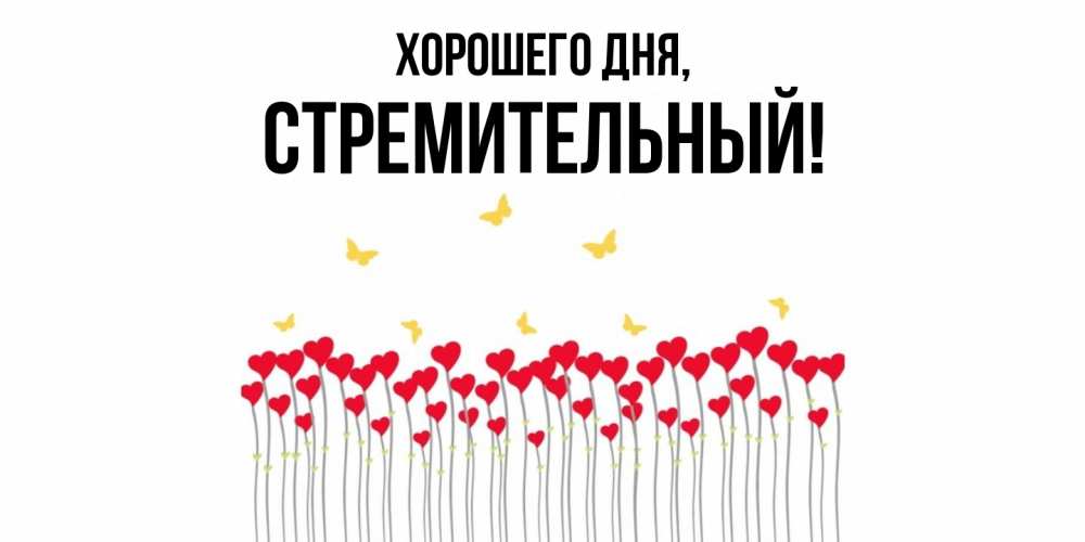 Открытка  для любимых и родных. стремительный, Хорошего дня  