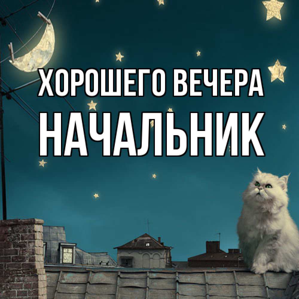Открытка с именем, Начальник, Хорошего вечера