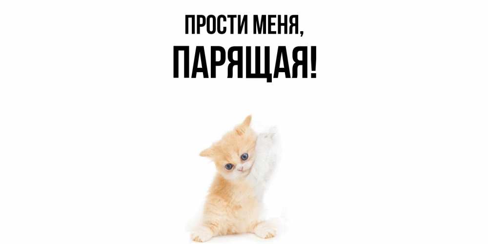 Открытка  для любимых и родных. паpящая, Прости меня  