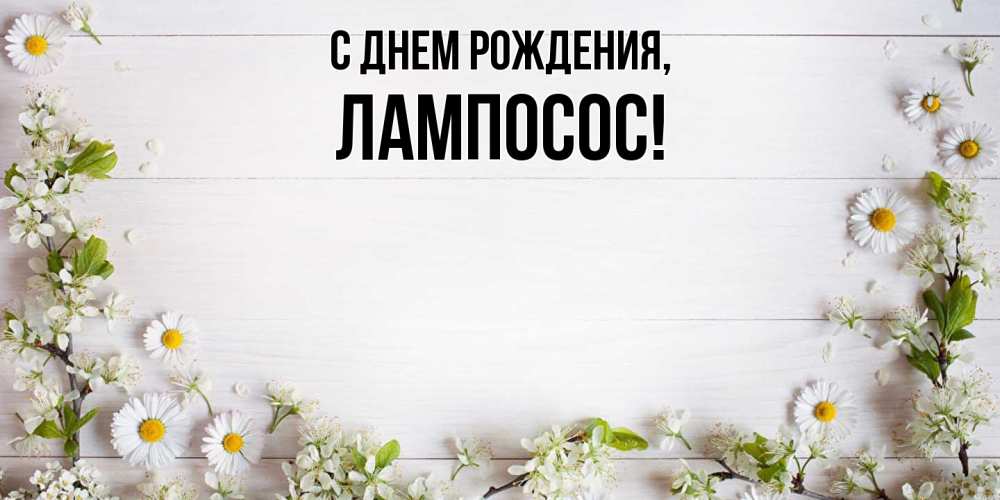 Картинка С днем рождения, лампосос