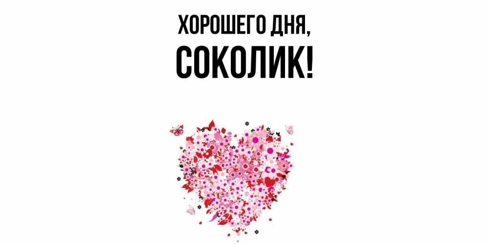 Открытка  для любимых и родных. соколик, Хорошего дня  