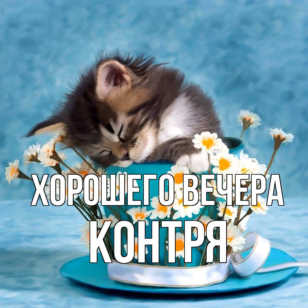 Открытка  для любимых и родных. контря, Хорошего вечера  
