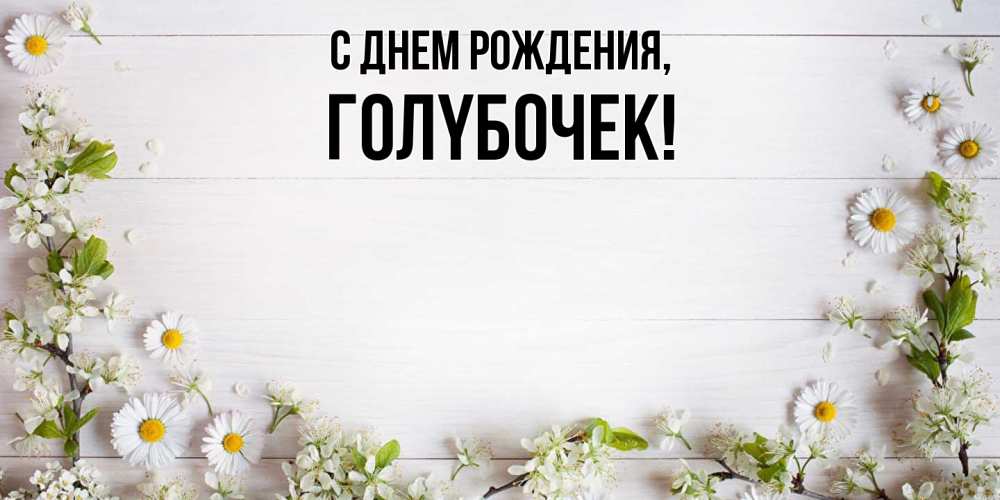 Открытка  для любимых и родных. голyбочек, С днем рождения  