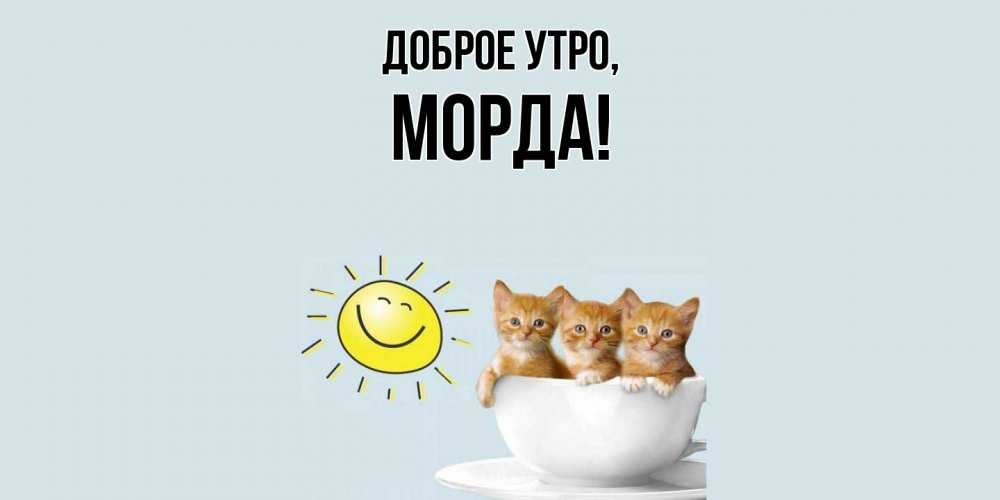 Открытка  для любимых и родных. морда, Доброе утро  
