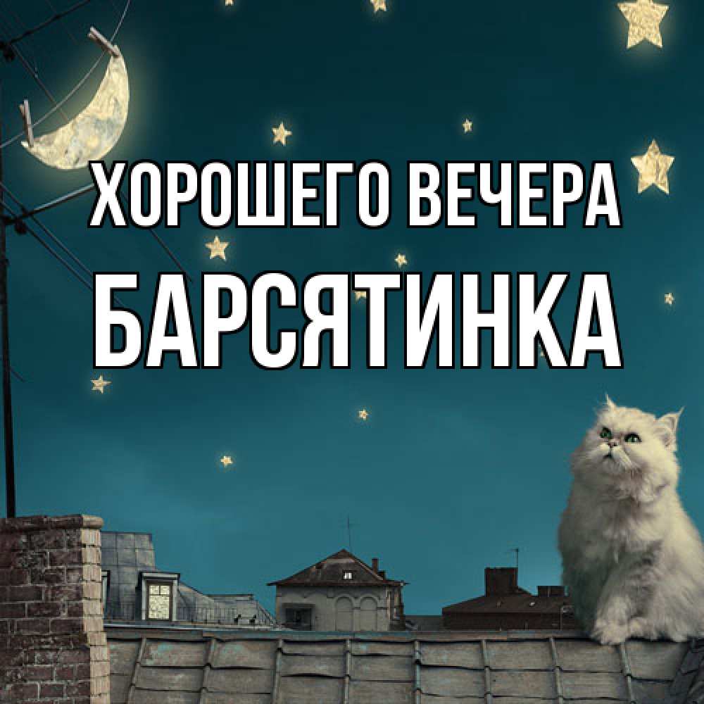 Картинка Хорошего вечера, барсятинка