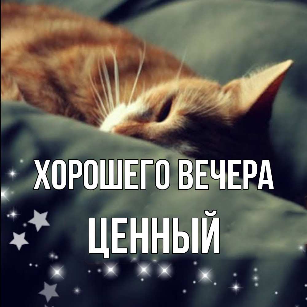 Открытка  для любимых и родных. ценный, Хорошего вечера  