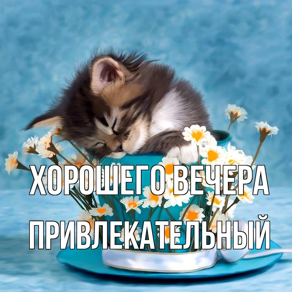 Картинка Хорошего вечера, привлекательный