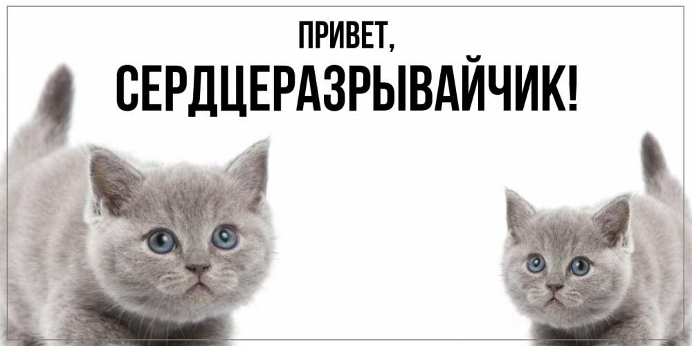 Открытка  для любимых и родных. сердцеразрывайчик, Привет  