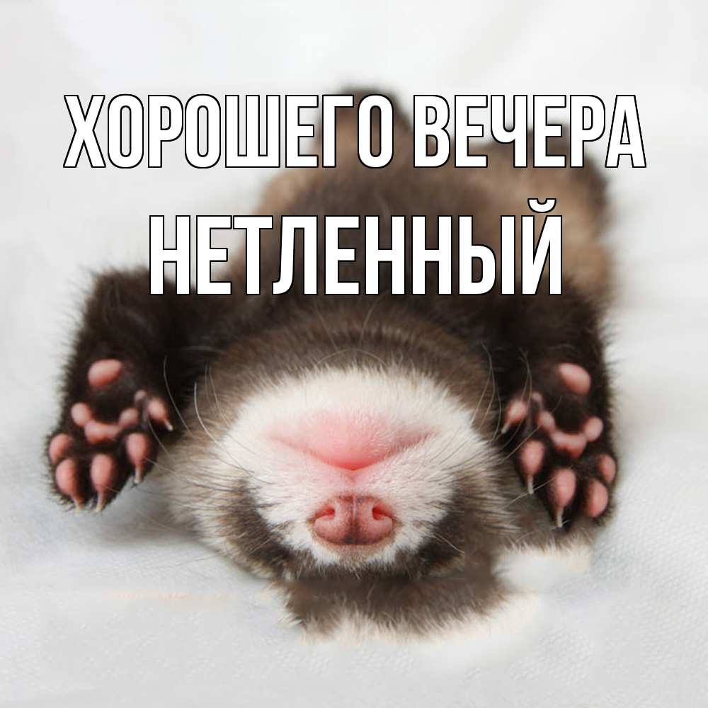 Открытка  для любимых и родных. нетленный, Хорошего вечера  