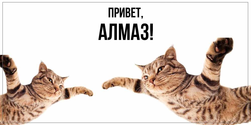 Открытка  для любимых и родных. алмаз, Привет  