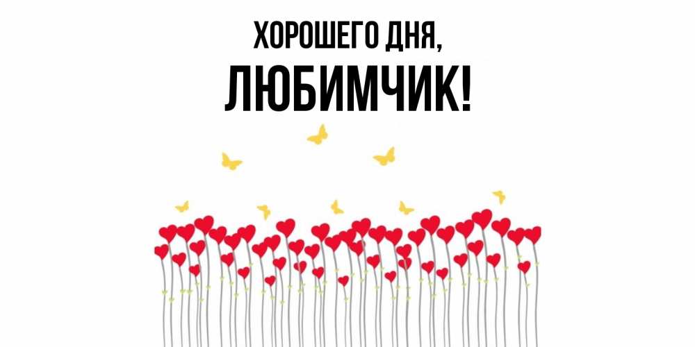 Открытка  для любимых и родных. любимчик, Хорошего дня  