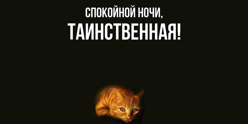 Открытка  для любимых и родных. таинственная, Спокойной ночи  