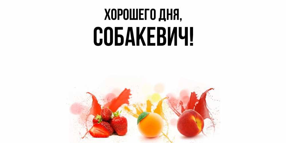 Открытка  для любимых и родных. собакевич, Хорошего дня  