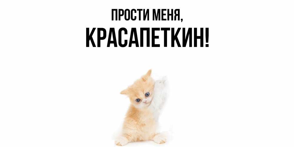 Открытка  для любимых и родных. красапеткин, Прости меня  