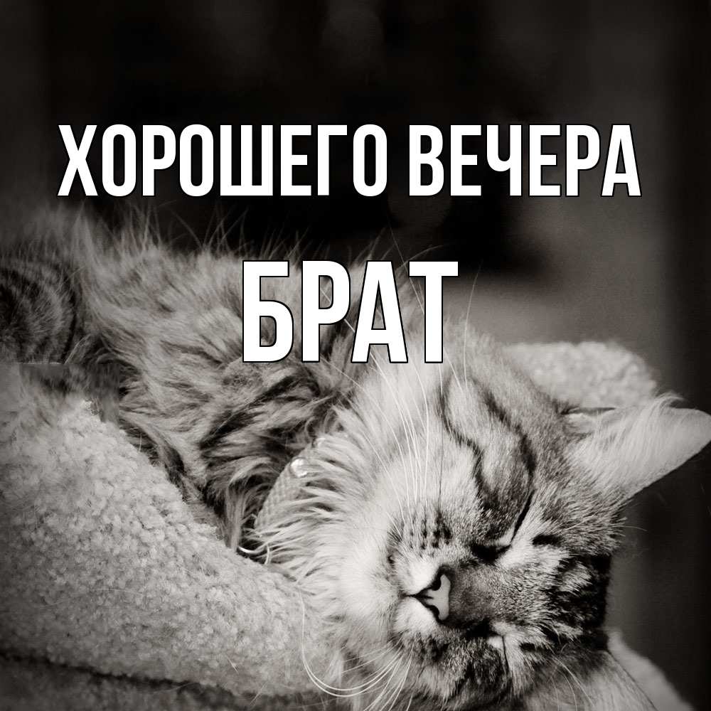 Открытка  для любимых и родных. Брат, Хорошего вечера  
