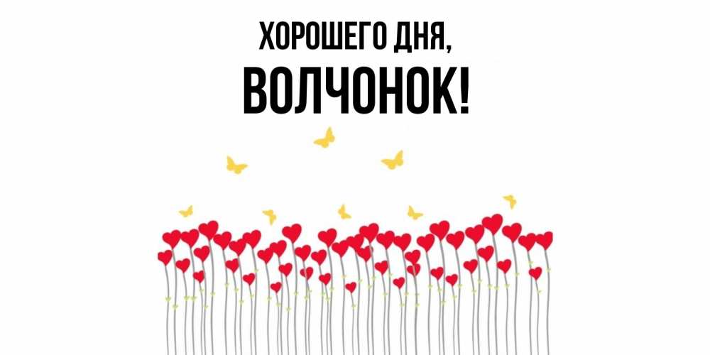 Открытка  для любимых и родных. волчонок, Хорошего дня  