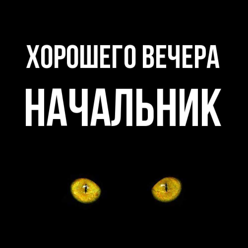 Открытка с именем, Начальник, Хорошего вечера