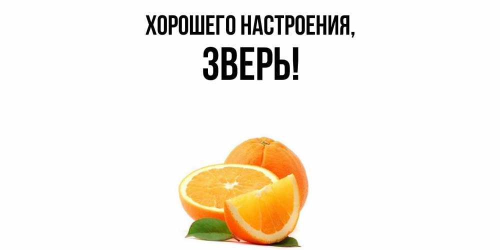 Открытка  для любимых и родных. зверь, Хорошего настроения  