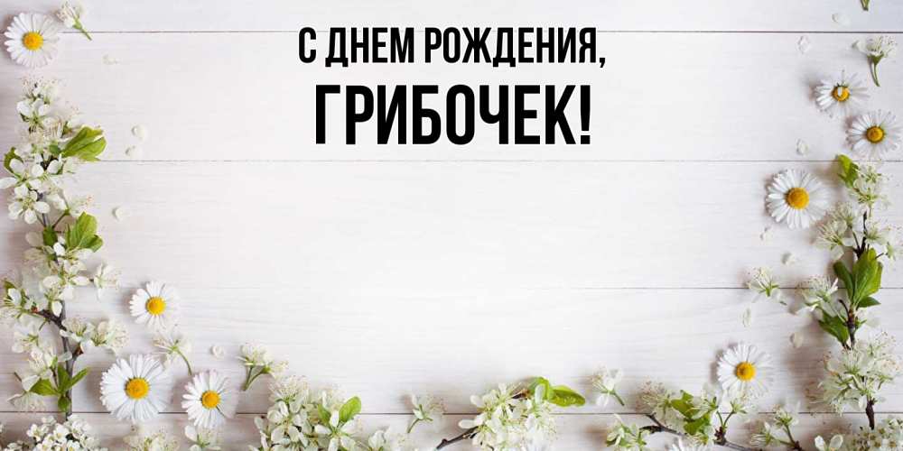 Открытка  для любимых и родных. грибочек, С днем рождения  